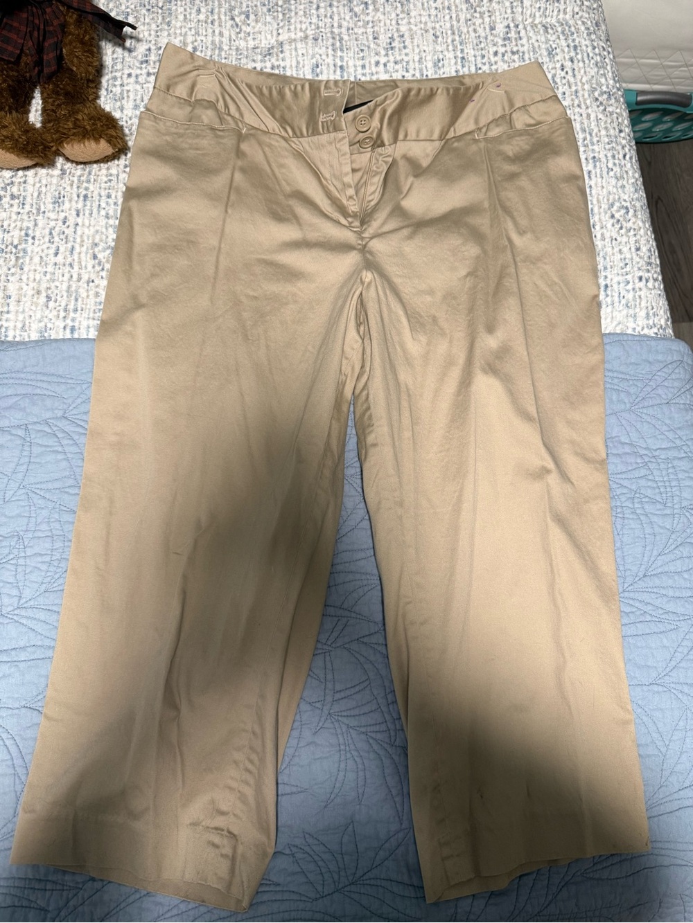 Lane Bryant Tan Chino Pants